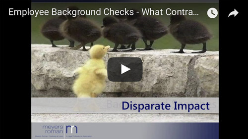 Employee Background Checks – What Contractors Need to Know